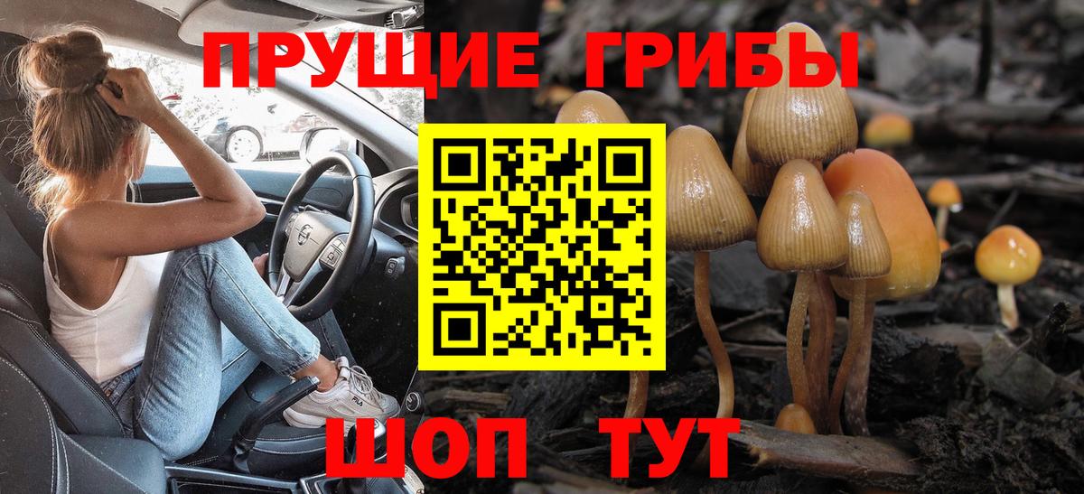 Галлюциногенные грибы мухоморы  Вход с VPN  Балашов  Галлюциногенные грибы Psilocybine cubensis 