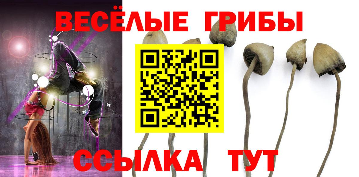 Галлюциногенные грибы MAGIC MUSHROOMS Балашов