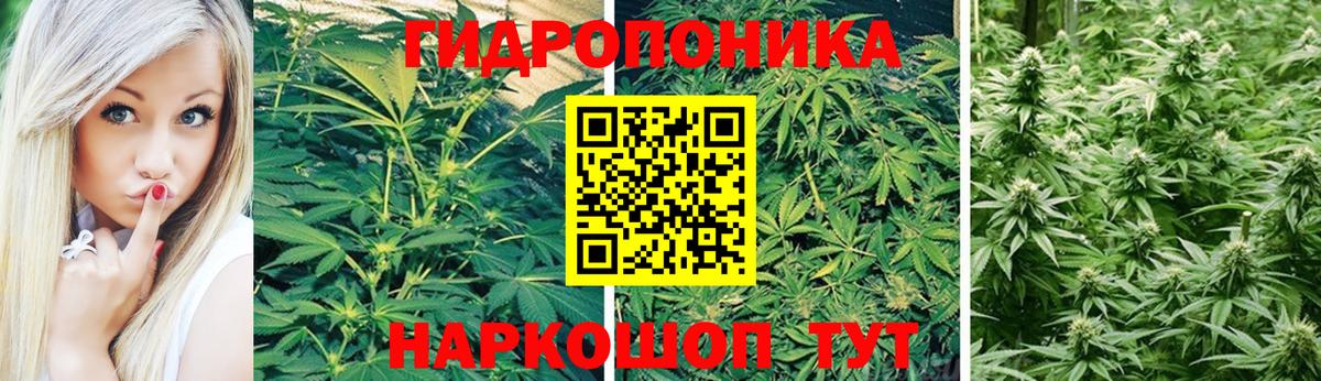 ГАШ  Балашов  Где продают наркотики?  Вход с VPN  Alpha-PVP СК кристаллы  Кокаин  Меф МЯУ МЯУ  Мефедрон кристаллы  Марихуана 